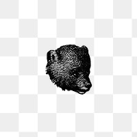 PNG Vintage European style bear engraving, transparent background