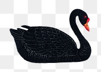 Black goose bird design element 