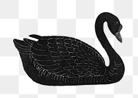 Black goose design element 