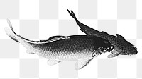 Gray carp fish design element 