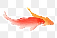 Golden carp fish sticker overlay design element 