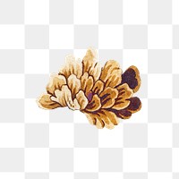 Vintage brown flower design element