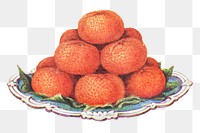 Vintage hand drawn tangerines design element