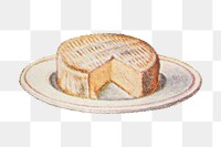 Vintage hand drawn camembert cheese design element