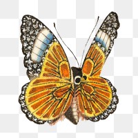 Colorful single butterfly png vintage illustration