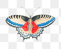 Butterfly png, remixed from the 18th-century artworks from the Smithsonian archive.