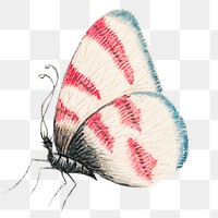 Png vintage butterfly watercolor illustration, remixed from the 18th-century artworks from the Smithsonian archive.