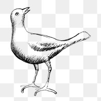 Pigeon png vintage drawing, remixed from artworks from Leo Gestel