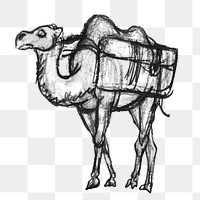 Camel png vintage illustration, remixed from artworks from Leo Gestel