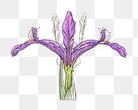 Vintage iris flower transparent png design element