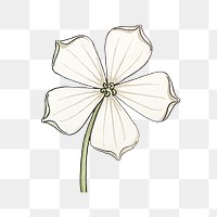 Vintage white&ndash;flowered gourd flower transparent png design element
