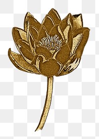 Vintage gold water lily flower transparent png design element