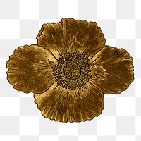 Vintage gold poppy flower transparent png design element