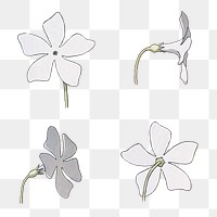 Vintage periwinkle flower transparent png set design element