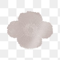 Shiny poppy flower transparent png design element