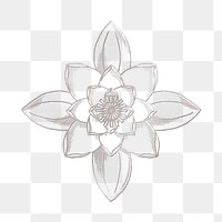 Vintage line drawing water lily flower  transparent png design element