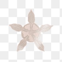 Shiny columbine flower transparent png design element