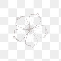 Line drawing white&ndash;flowered gourd flower transparent png design element