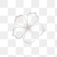 Line drawing white–flowered gourd flower transparent png design element