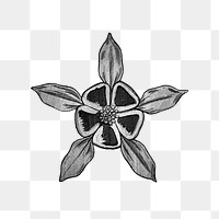 Vintage black and white columbine flower transparent png design element