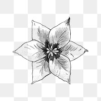Black and white crown imperial flower transparent png design element