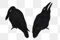 Vintage crow art print png, remix from artworks by Theo van Hoytema