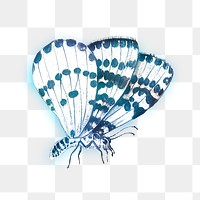 Butterfly outer glow vintage illustration transparent png
