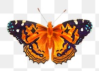 American painted lady butterfly png clipart