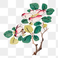 Flower png design element, remixed from artworks by Hu Zhengyan