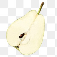 Vintage pear transparent png. Digitally enhanced illustration from U.S. Department of Agriculture Pomological Watercolor Collection. Rare and Special Collections, National Agricultural Library.