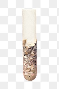 Vintage lime in test tube transparent png. Digitally enhanced illustration from U.S. Department of Agriculture Pomological Watercolor Collection. Rare and Special Collections, National Agricultural Library.