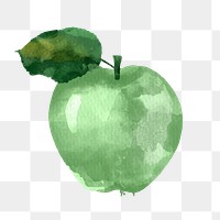 Green apple watercolor illustration design element 