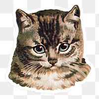 Cat head icon