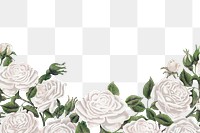 White rose border png clipart, transparent background