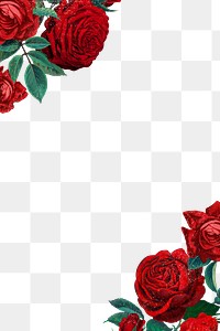 Red rose png border frame, transparent background