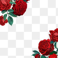 Red rose png border frame, transparent background