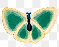 Green butterfly png sticker, vintage hand drawn design clip art, transparent background