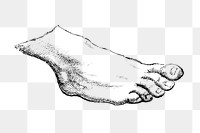 Human foot monochrome design element