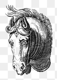 Horse head monochrome design element