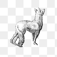 Fox monochrome design element