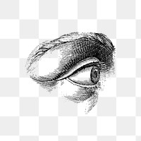 Human eye monochrome design element