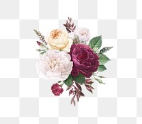 White Flower PNG Images | Free PNG Vector Graphics, Effects & Backgrounds - rawpixel