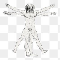 PNG Vitruvian man famous drawing, remixed from artworks by Leonardo da Vinci