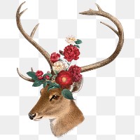 Vintage deer png sticker, animal & flower illustration, transparent background  