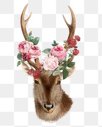 Vintage deer png sticker, animal & flower illustration, transparent background  