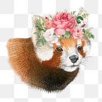 Vintage red panda png sticker, animal & flower illustration, transparent background  