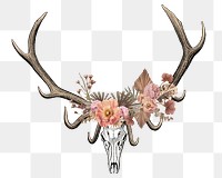 Vintage animal skull png sticker, animal & flower illustration, transparent background  