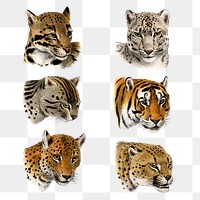 Vintage wildlife png sticker, illustration on transparent background set  