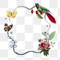 Botanical png frame, metal shape, transparent background