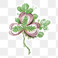 Vintage flower art work sticker with white border